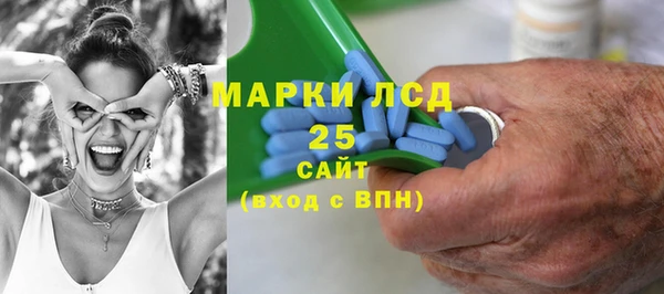 прущие грибы Алексин