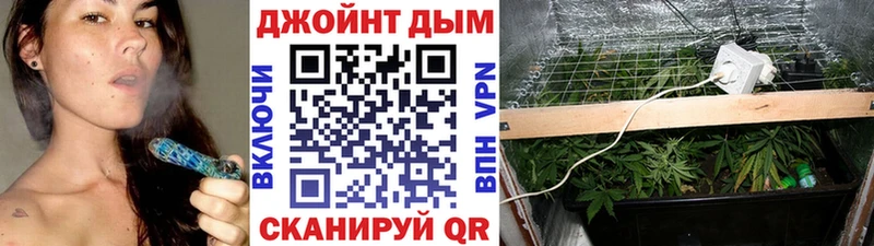 гидра как зайти  Подольск  Шишки марихуана индика 